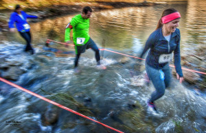 Crossing the Stream in 2014 575 x 370